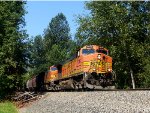 BNSF 5036 East